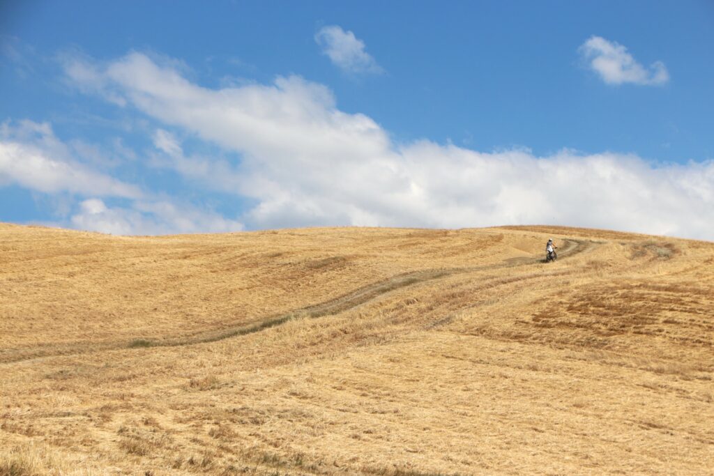 Escursioni colline toscane mtb